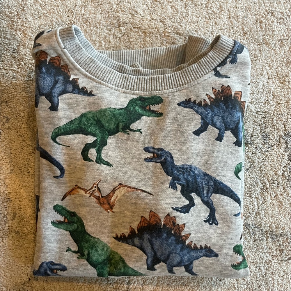 H&M dinosaur sweatshirt